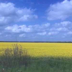 Meet your Posher, Diana